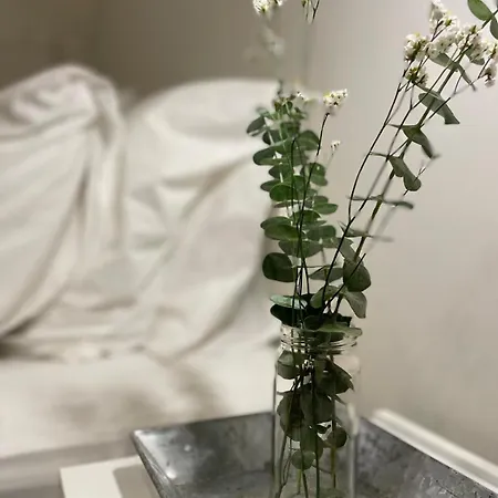 拉尔艾特兰提卡旅馆