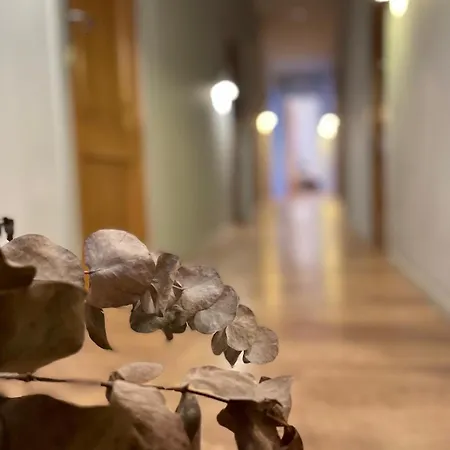 拉尔艾特兰提卡旅馆 2*