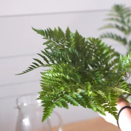 拉尔艾特兰提卡旅馆 比戈