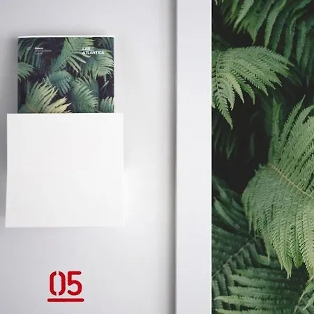 拉尔艾特兰提卡旅馆 2* 比戈