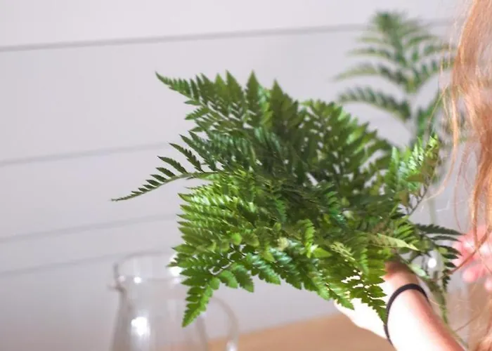 Lar Atlantica Comarca de Vigo